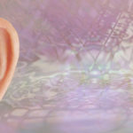 Ear Anatomy background banner